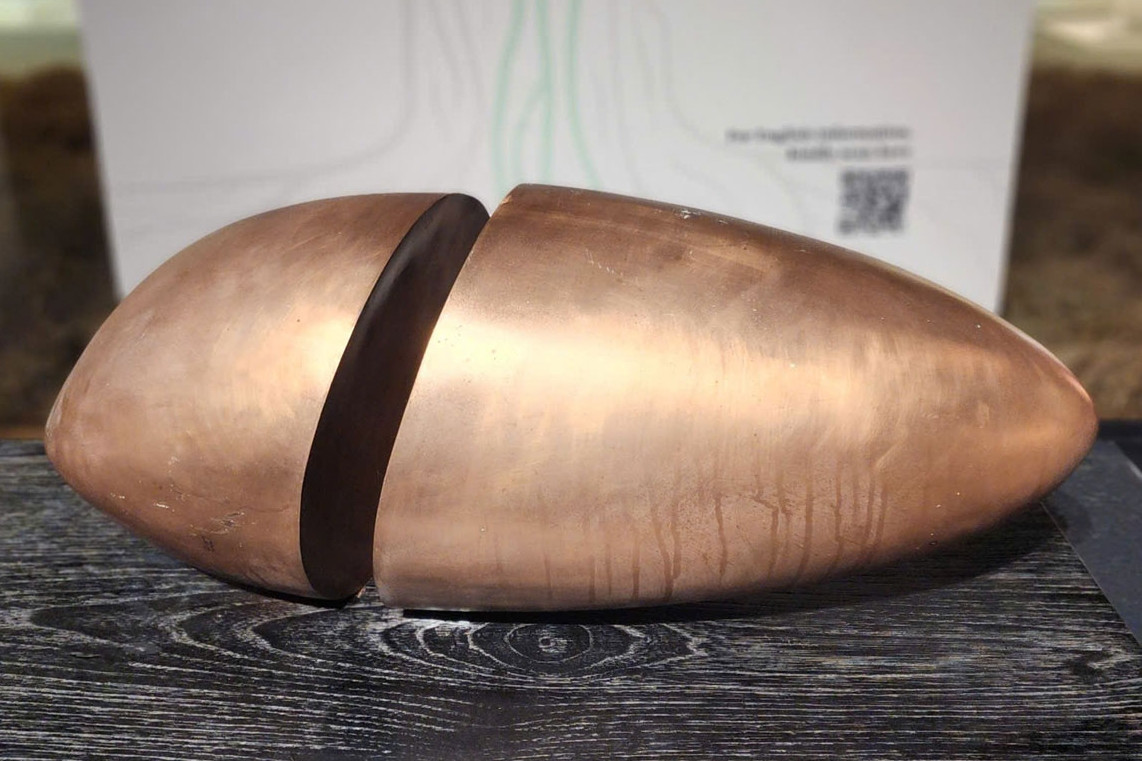 'Hạt gạo' của Lê Thiết Cương mở không gian đối thoại giữa khoa học và nghệ thuật