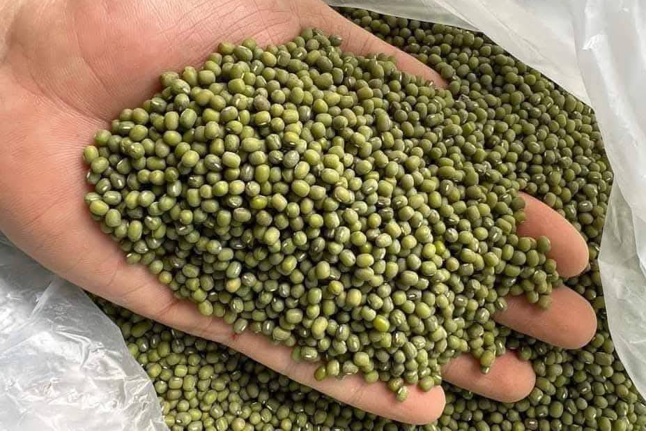 Nước đậu xanh là vị thuốc tốt nhưng ai nên tránh?