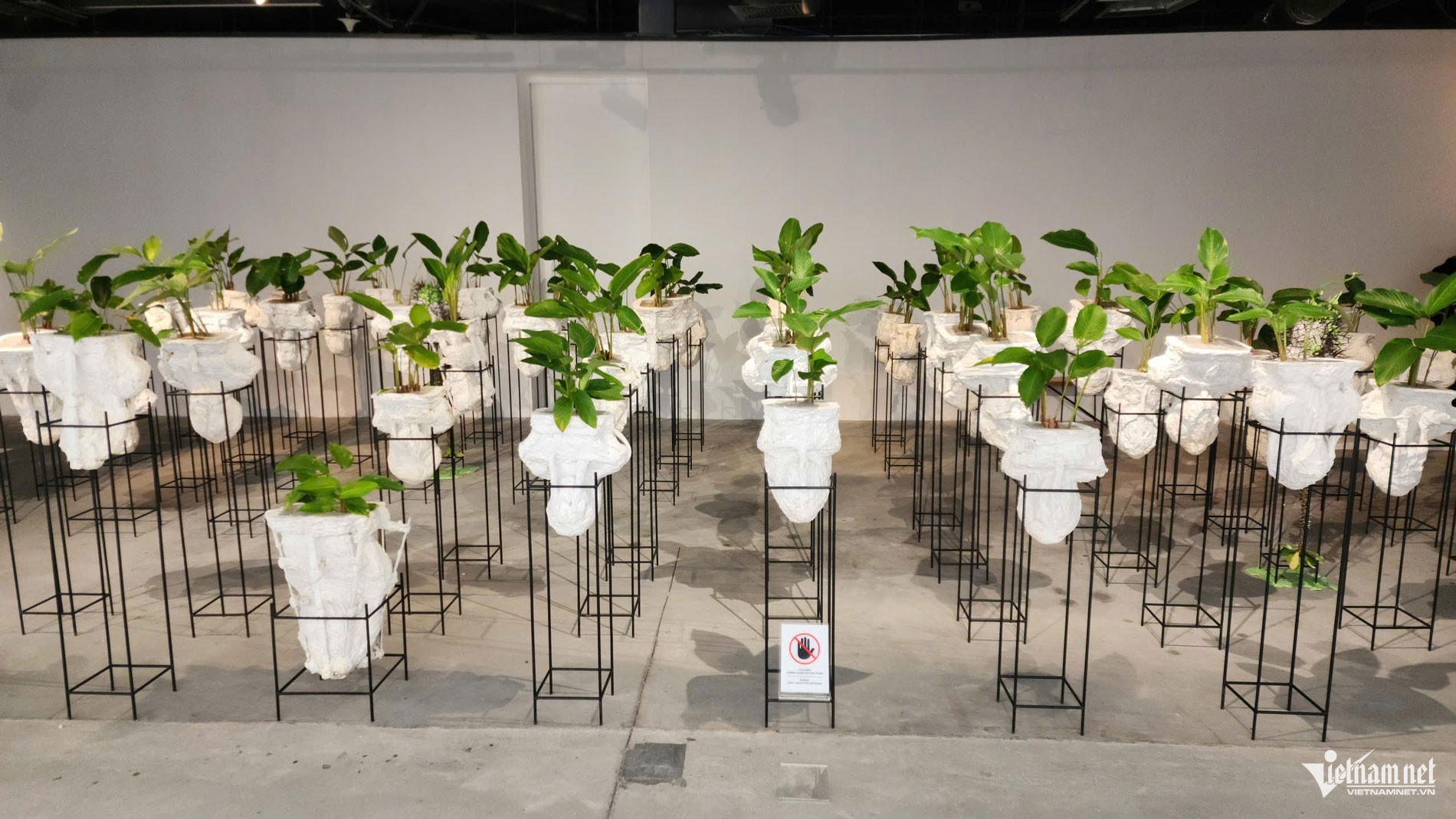 W-gen h z7284992312658_66d2b72736f34b678e114c885ee02c4a.jpg