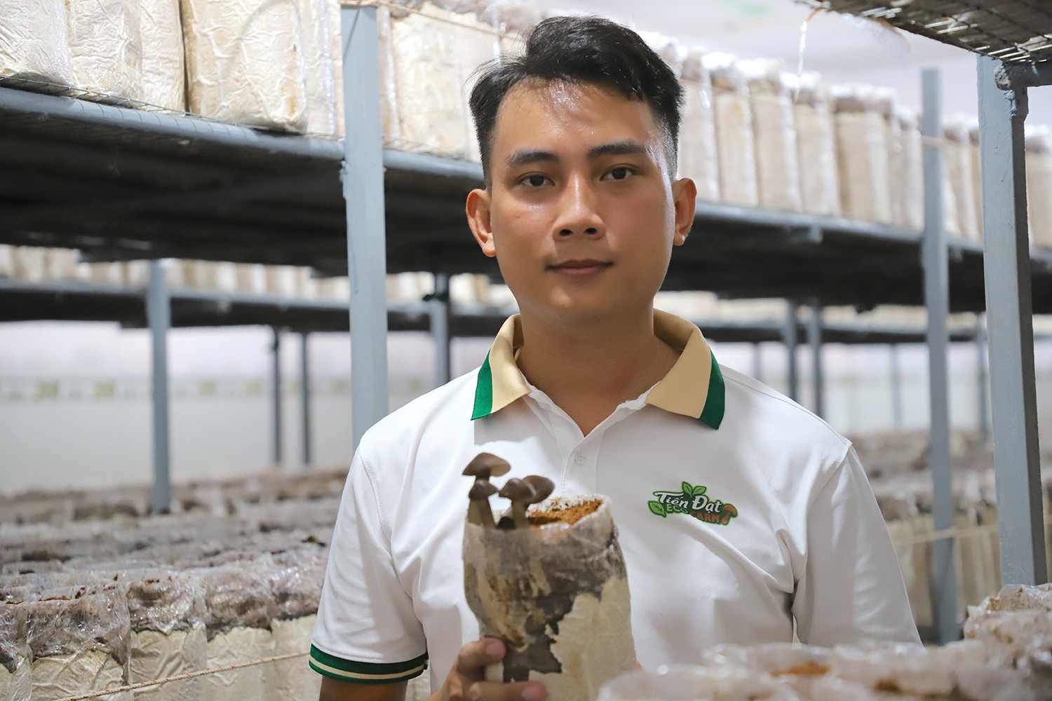 Gác 3 bằng đại học, chàng trai miền Tây về quê trồng nấm công nghệ cao