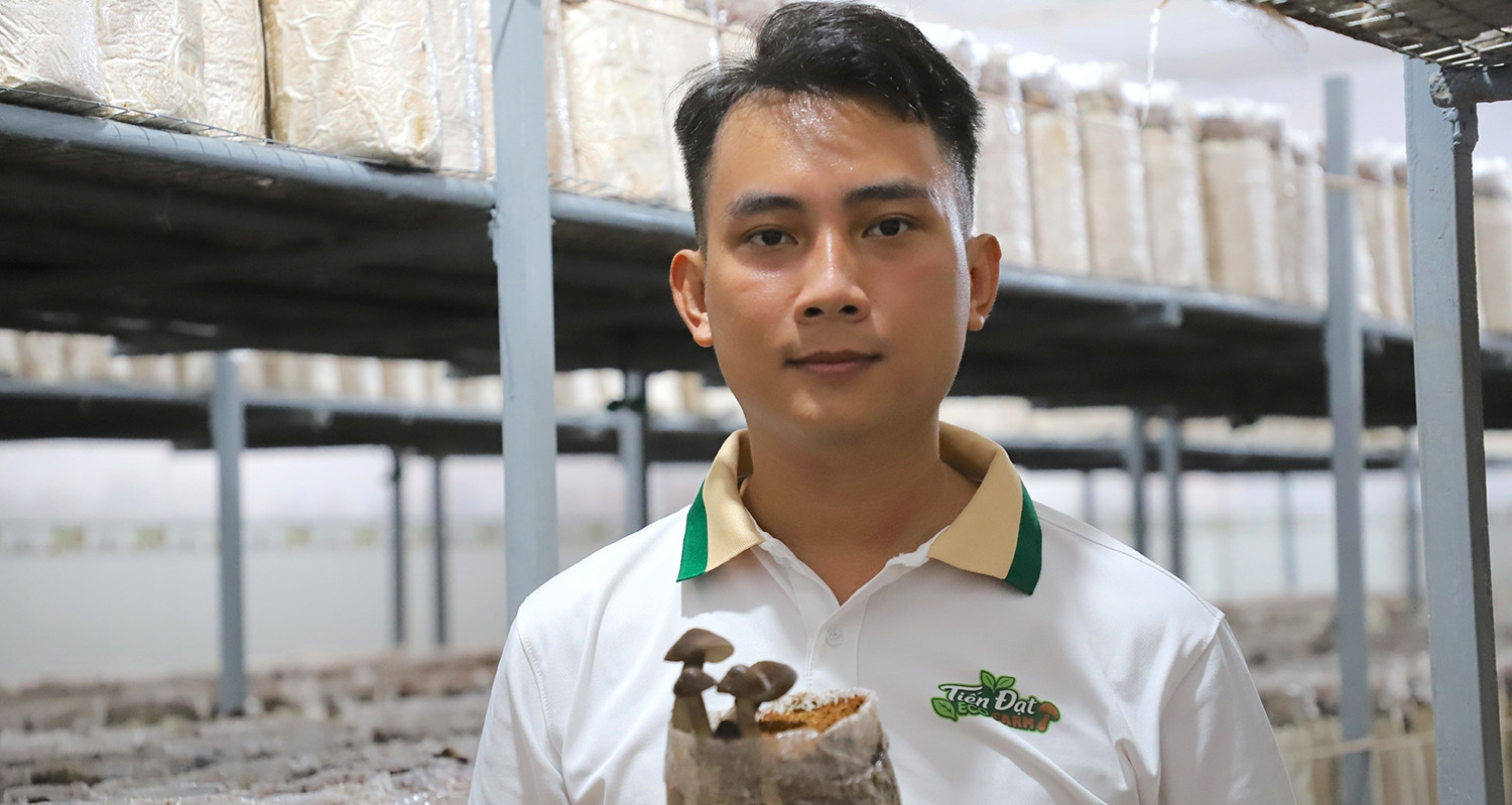 Gác 3 bằng đại học, chàng trai miền Tây về quê trồng nấm công nghệ cao