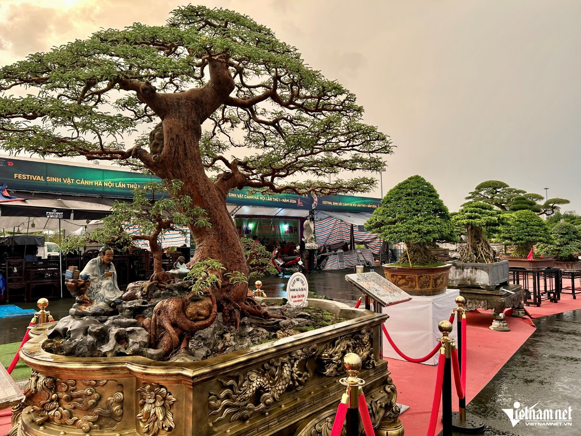 W-11. Tin nông thôn mới Hà Nội thúc đẩy hợp tác.jpg