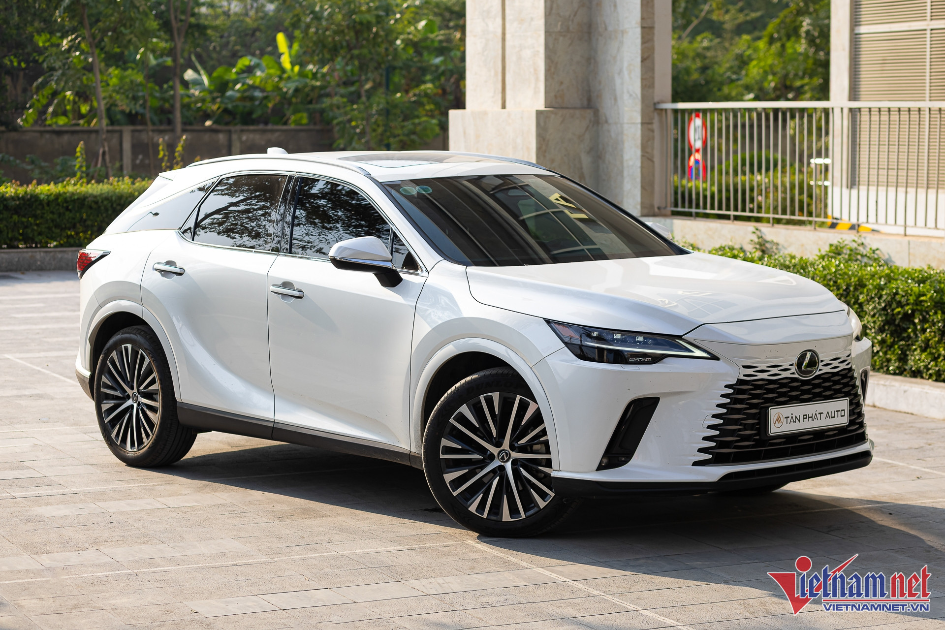 W-lexus rx cu 1.JPG.jpg