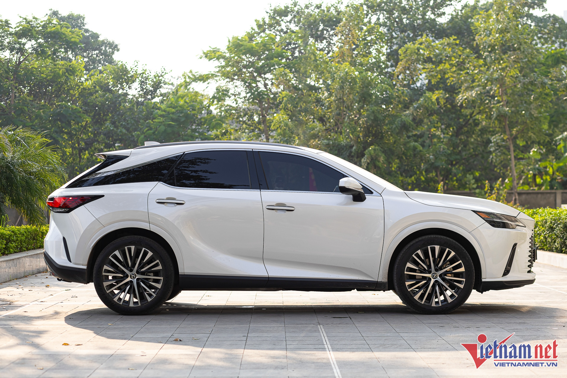 W-lexus rx cu 3.JPG.jpg