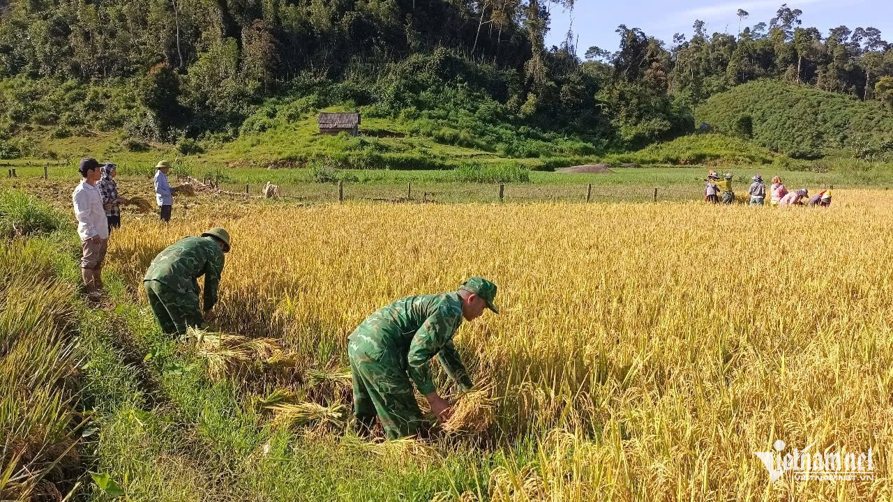 W-Thanh Hải ảnh 2.jpg