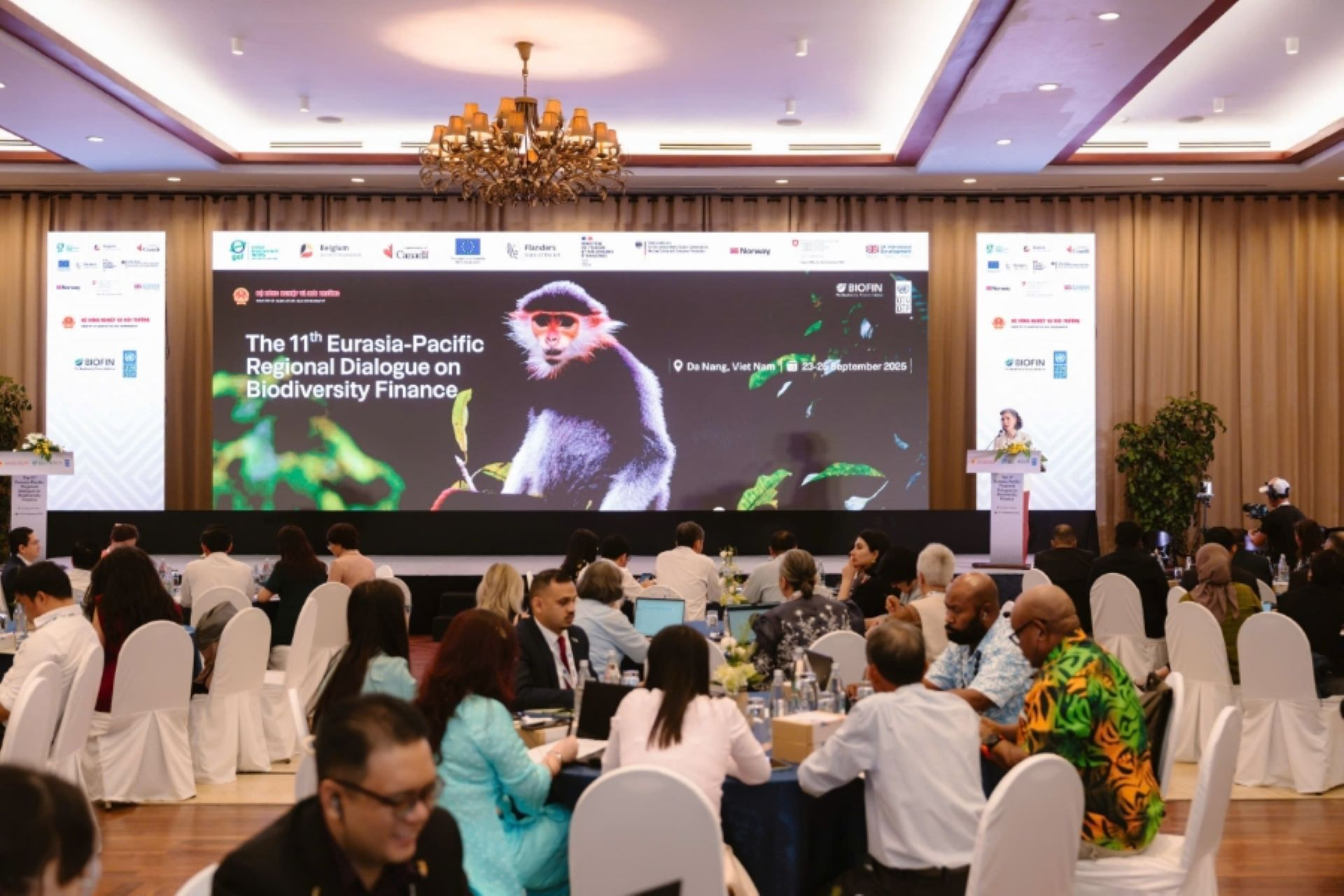 2. Đổi mới tài chính đa dạng sinh học thành trọng tâm đối thoại khu vực.jpg