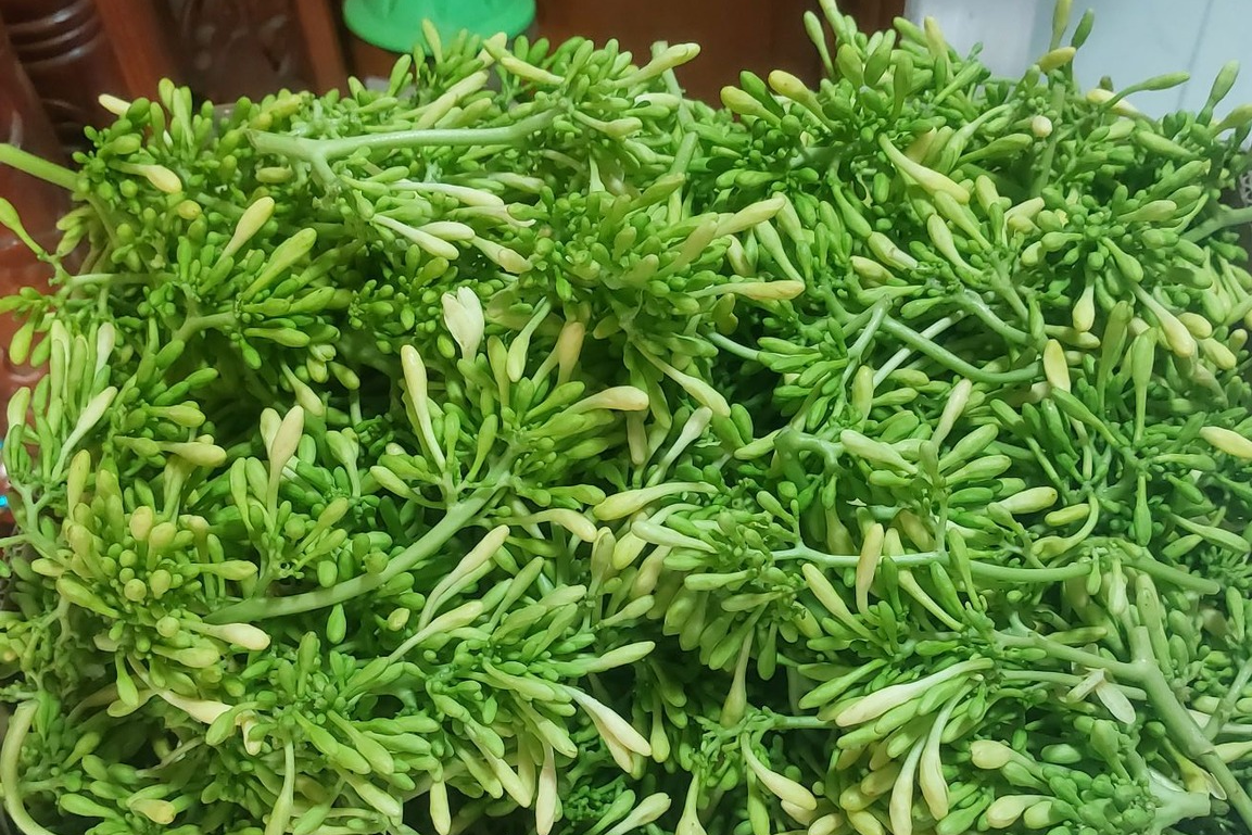 4 nhóm người nên tránh dùng hoa đu đủ đực