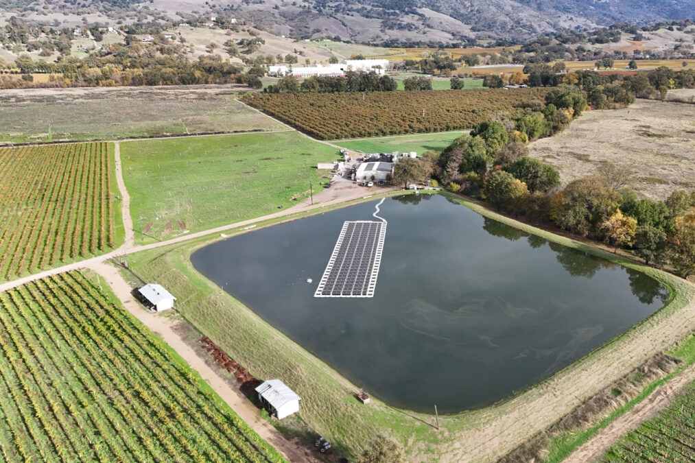 Biến mái nhà và ao cá thành nguồn điện, chủ trang trại nho thu tiền 'khủng'