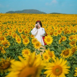 https://static-images.vnncdn.net/vps_images_publish/000001/000003/2025/12/22/canh-dong-hoa-huong-duong-0-1718.jpg
