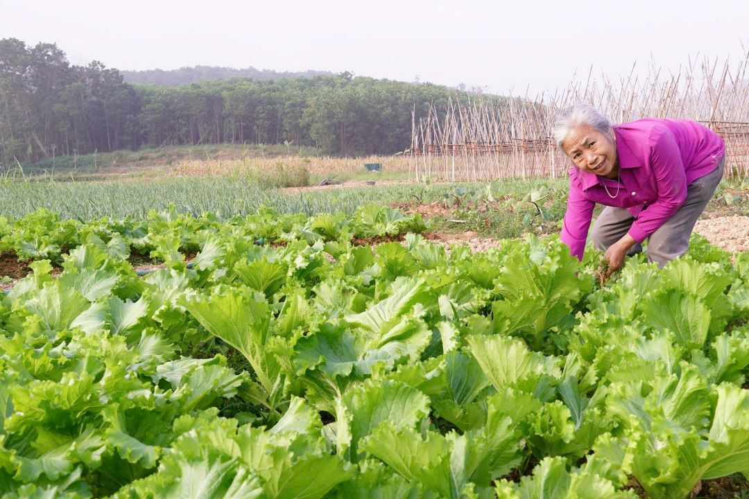  Hóa Quỳ phát huy vai trò tổ chức Đảng trong xây dựng nông thôn mới 