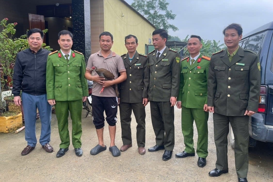 Thực hư thông tin người đàn ông bắt được gà lôi trắng trong rừng, nộp cho kiểm lâm