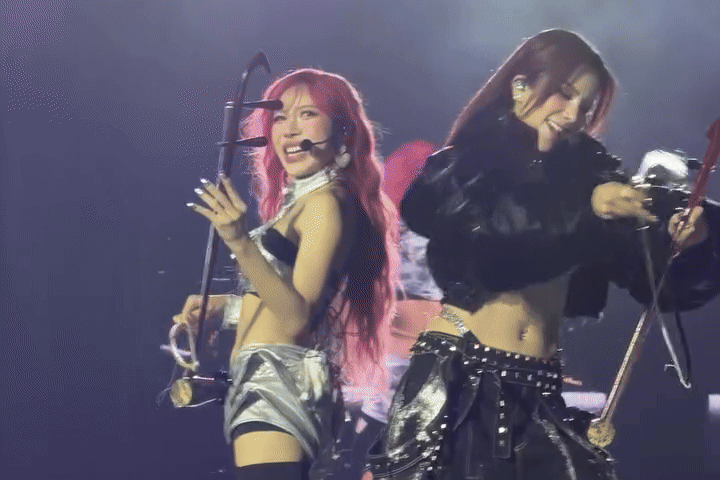 Tranh cãi Diệp Lâm Anh, Trang Pháp 'chơi đàn nhị như kéo cưa'