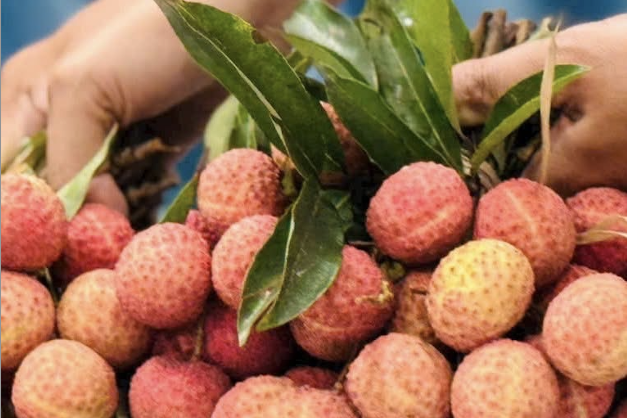 UKVFTA thúc đẩy thương mại, mở ra dư địa hợp tác đầu tư