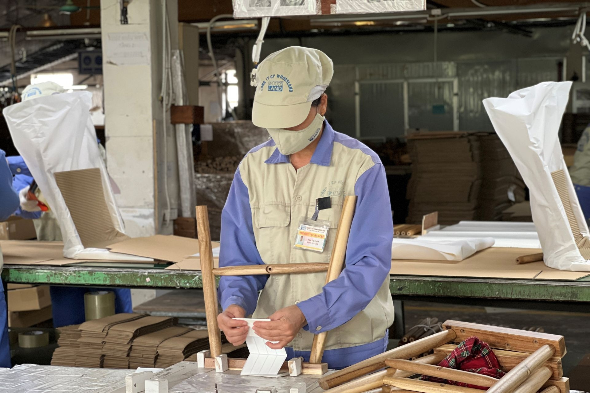 VIFOREST đặt mục tiêu 25 tỷ USD xuất khẩu gỗ năm 2030