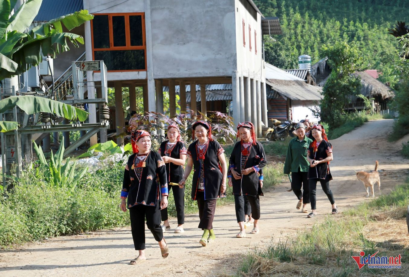 W-anh bai 6 ok.JPG.jpg