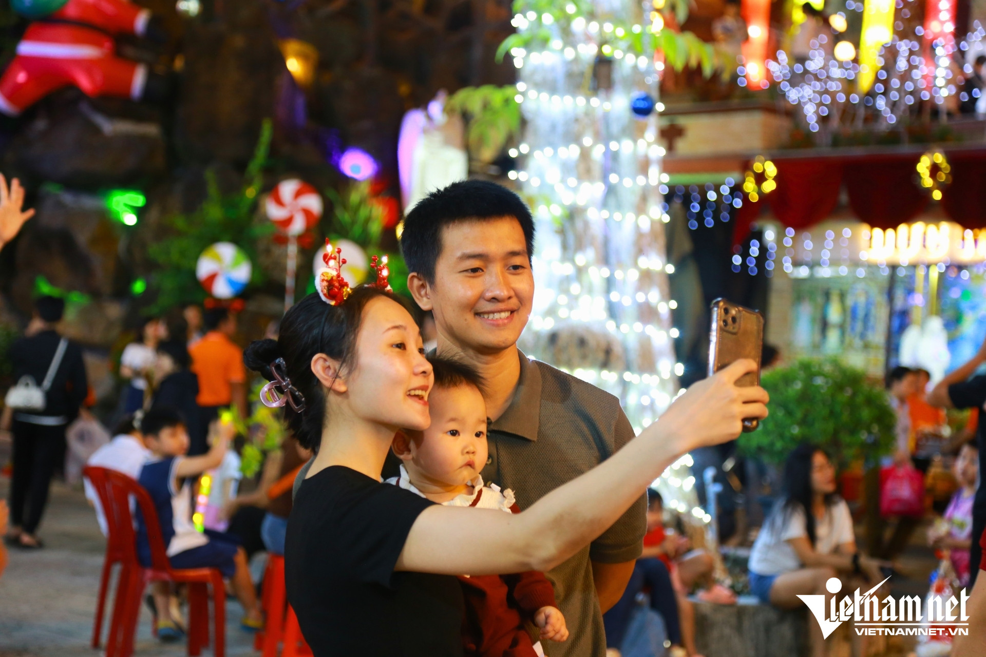 W-cay thong non la1.jpg