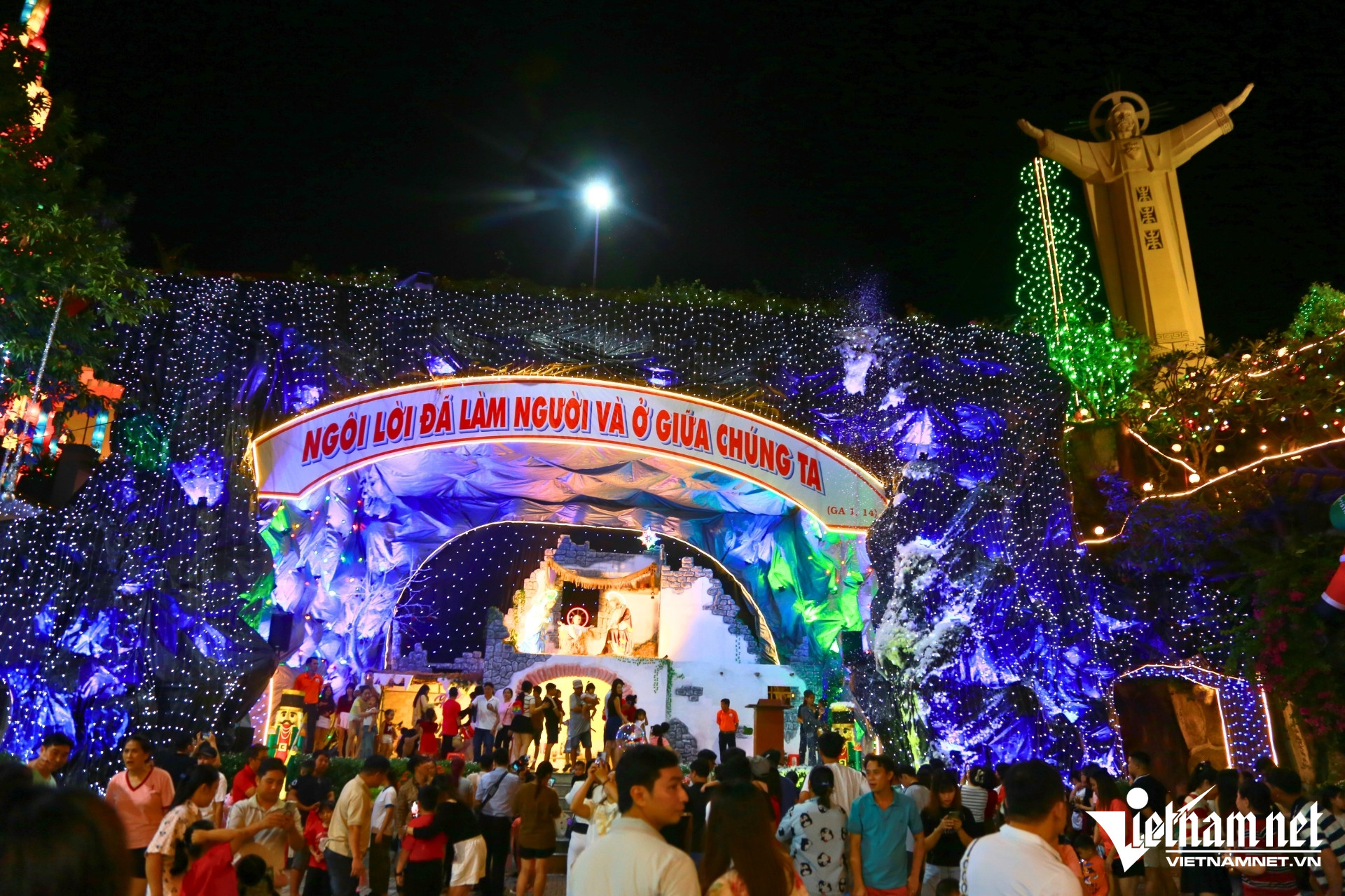 W-cay thong non la3.jpg