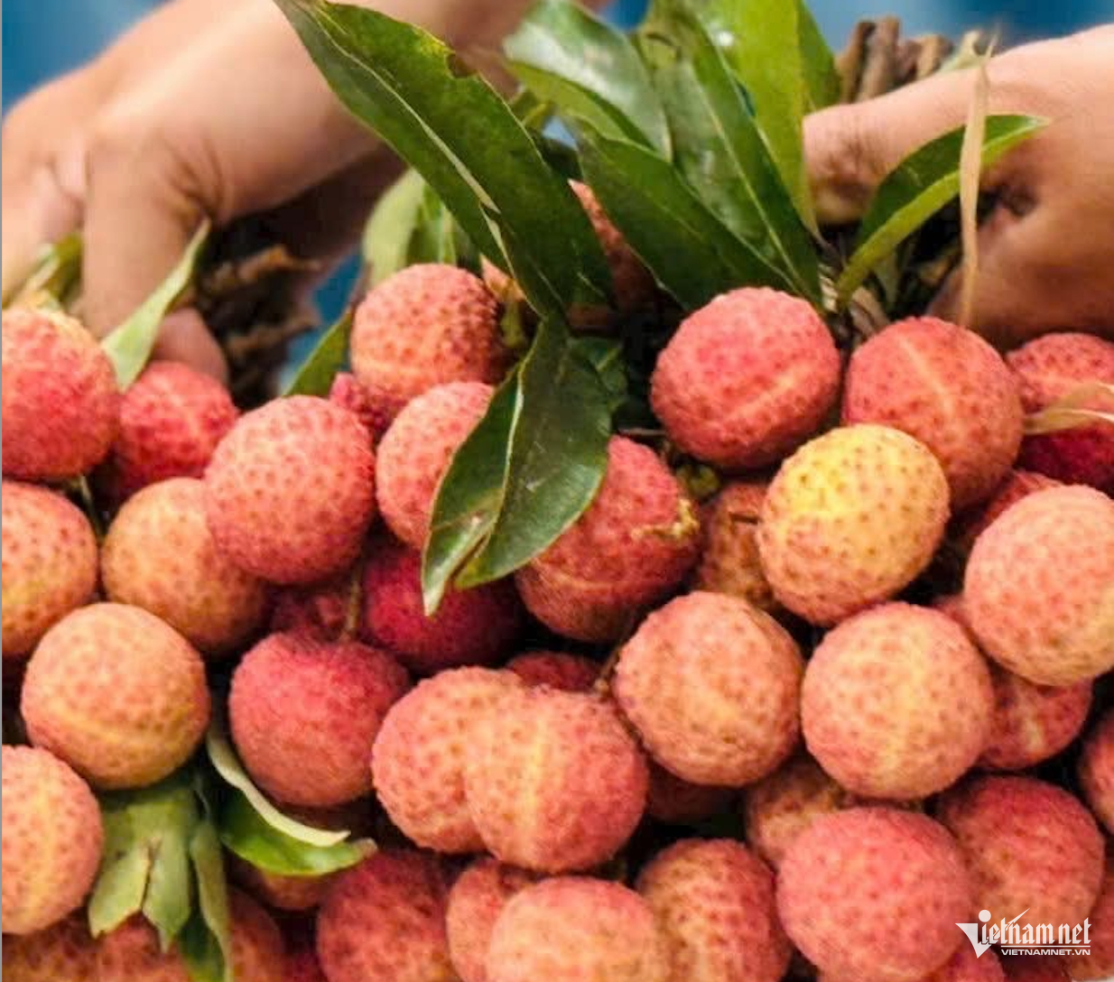 W-nông sản xk.png