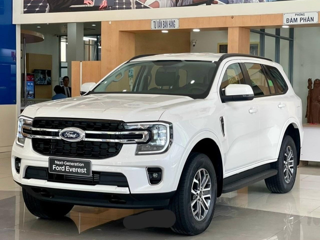 everest ambiente 2023 5.jpeg