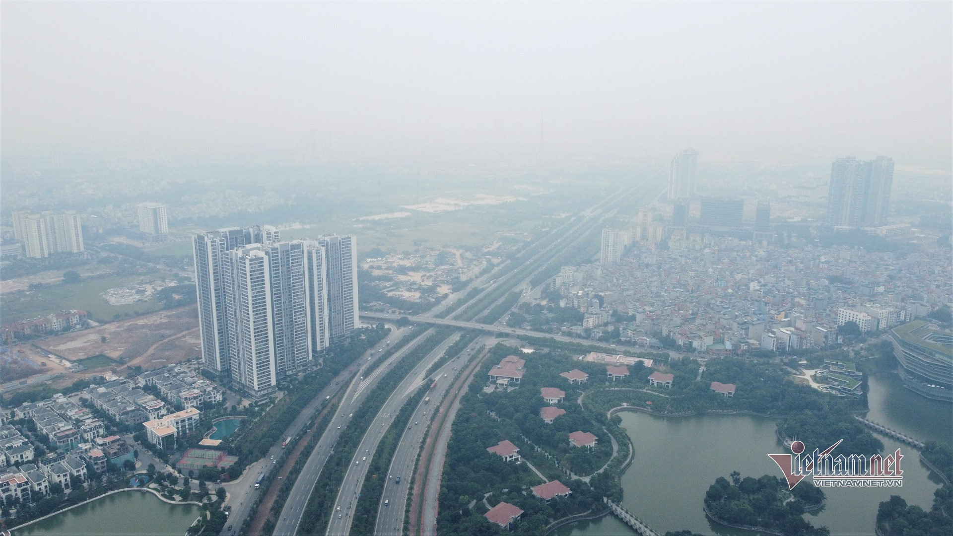 ha noi chim trong mua phun suong mu.jpg