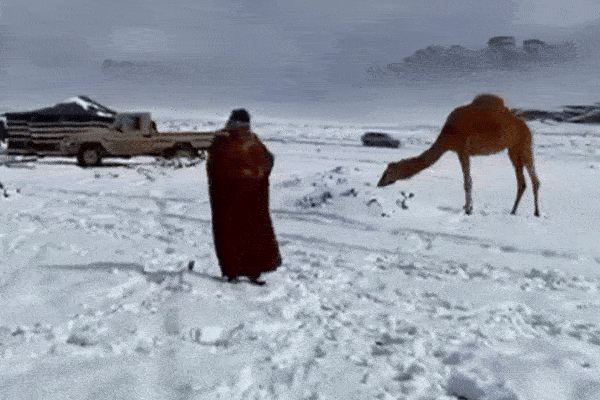 Tuyết phủ trắng sa mạc ở Ảrập Xêút lần đầu tiên trong 30 năm