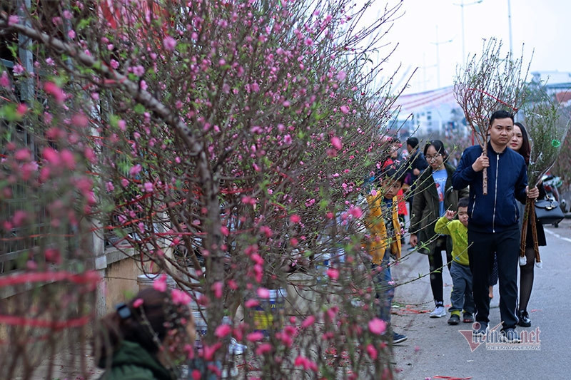 Bộ Nội vụ đề xuất Tết Dương lịch 2026 được nghỉ 4 ngày