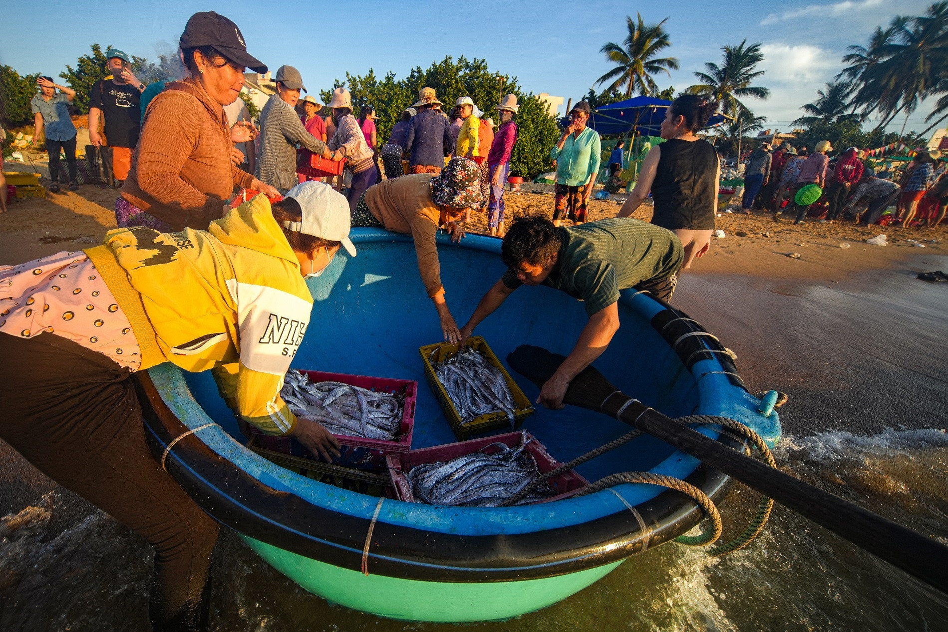 ‘Chất biển’ mạnh mẽ trong nhịp sống người dân miền duyên hải