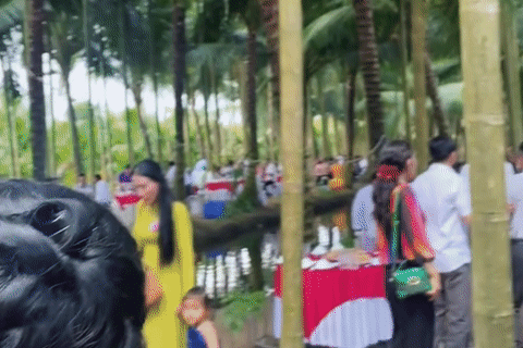 Chú rể Vĩnh Long làm 80 mâm cỗ ở vườn dừa 10.000m², mắc võng cho khách nghỉ ngơi