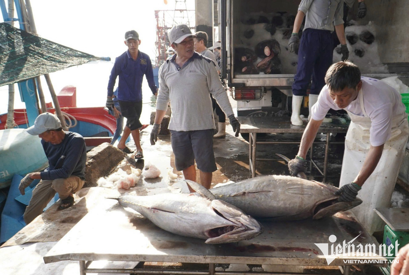 W-xuat khau thuy san.png