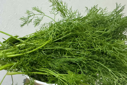 Cải xoong nhiều người Việt 'né' nhưng Mỹ xếp ngôi sao dinh dưỡng 2 loại rau gia vị nên ăn mỗi ngày trong mùa đông