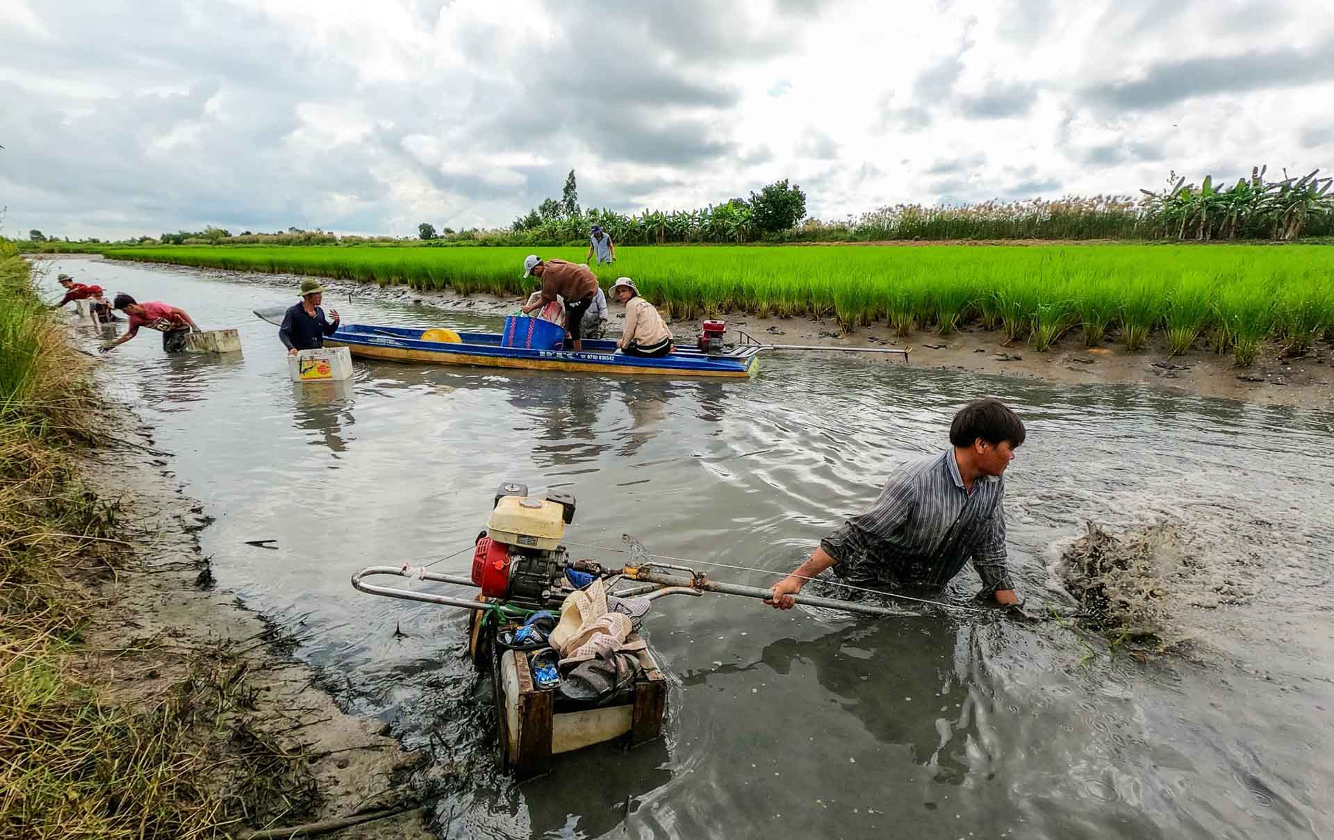 A2 c70b216e 490c 4e78 beb4 6fd98f94a32a.jpg