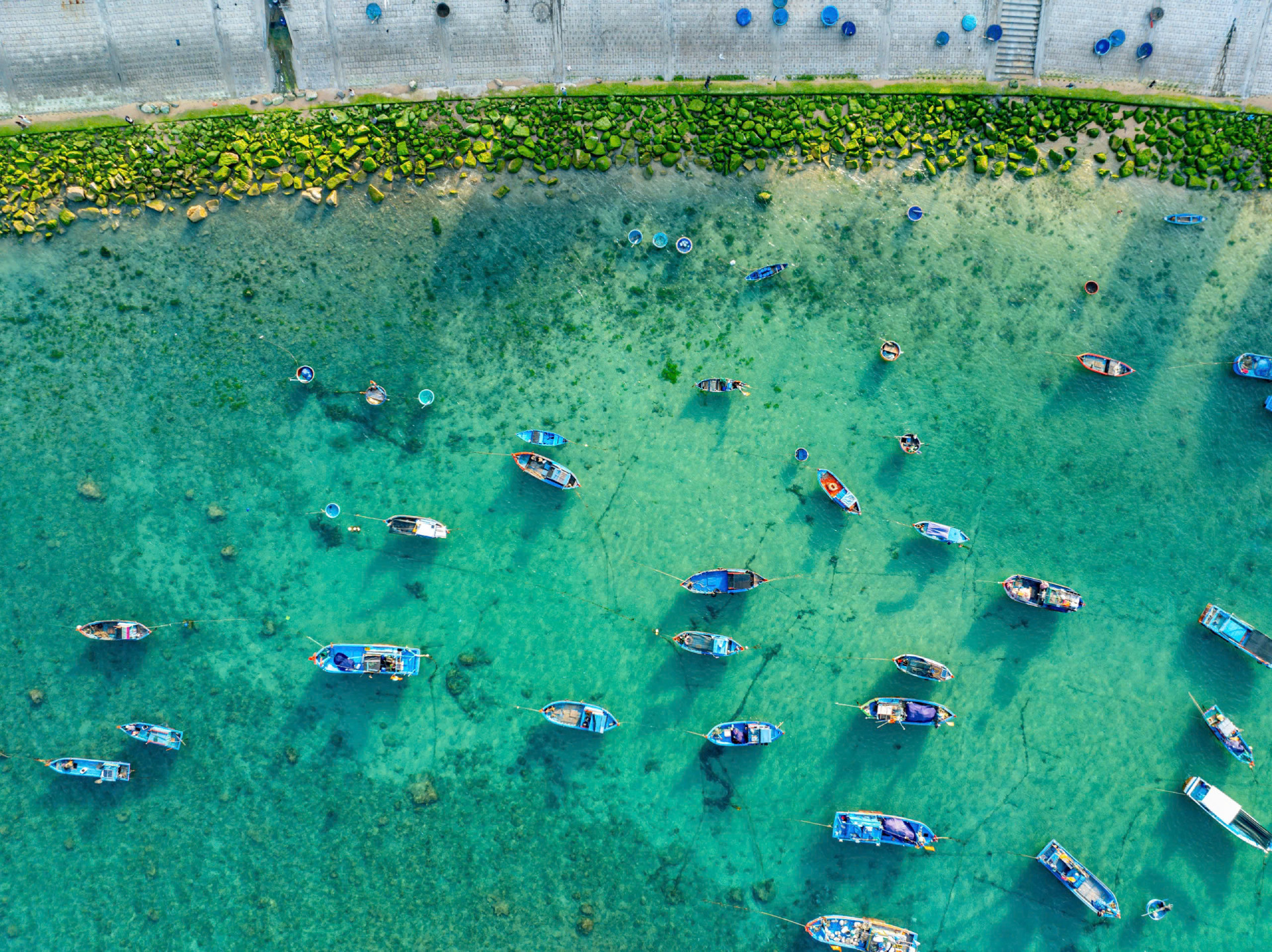 anh 2 binh dinh 47768 (1).jpg