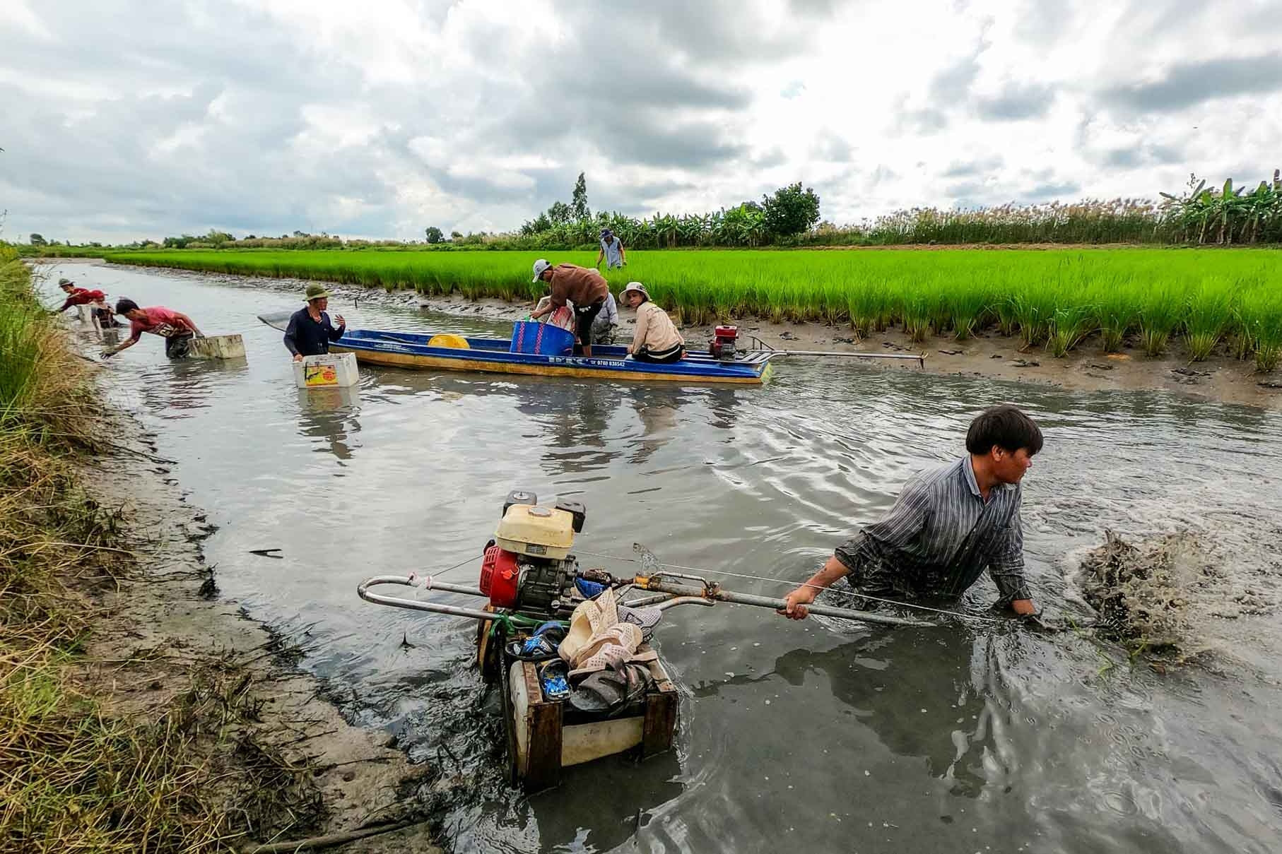 Cà Mau, từ ‘vùng trũng nghèo’ đến sinh kế thuận thiên