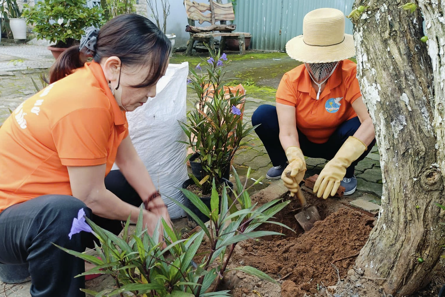 Đà Nẵng tạo đột phá phát triển khu vực nông thôn miền núi giai đoạn mới