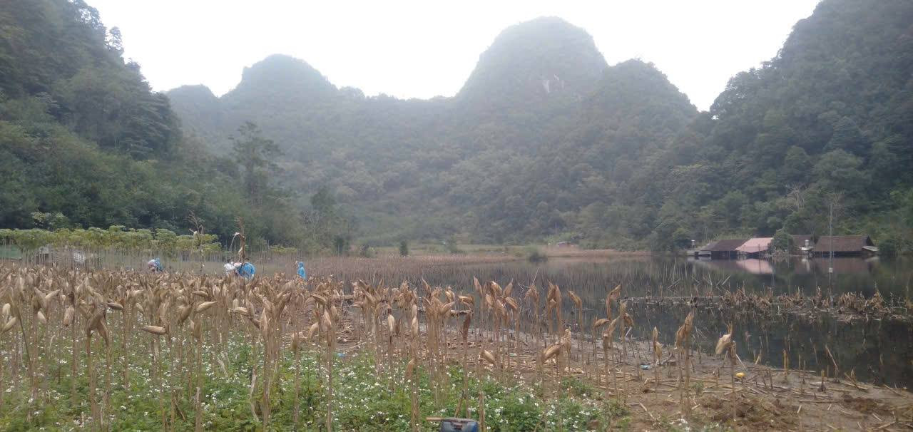 khu vực Lũng Phầy thuộc xóm Tiền Long, xã Quảng Uyên.jpg