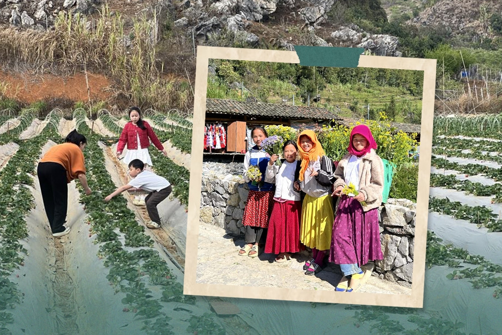 Kinh tế nông thôn “tăng tốc”: Chuyển đổi tư duy, kiến tạo nông thôn mới hạnh phúc