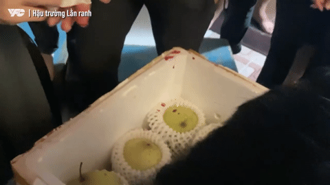 Lằn ranh Huyền Sâm