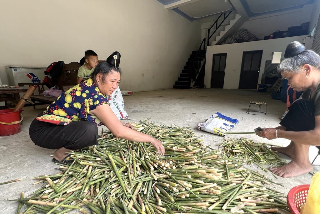 Nhờ phúc lợi xã hội, Việt Nam đã vượt qua thách thức Covid-19