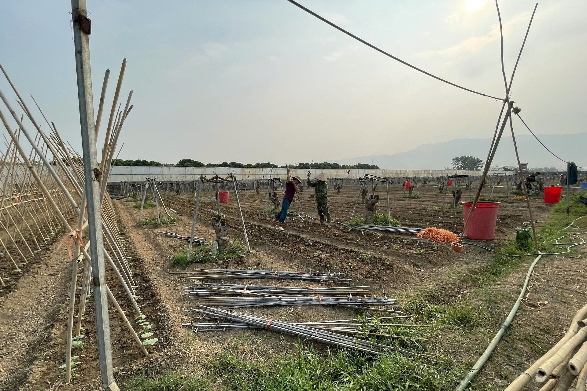 Nông dân Khánh Hoà phát huy vai trò chủ thể trong phát triển kinh tế nông thôn