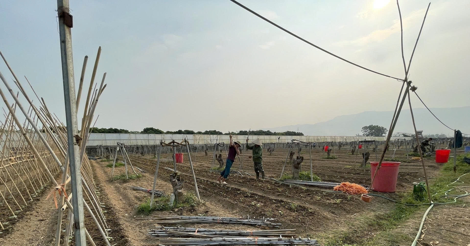 Nông dân Khánh Hoà phát huy vai trò chủ thể trong phát triển kinh tế nông thôn