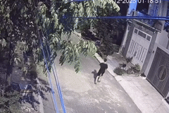 Phía sau clip ông bố ở Đồng Nai hốt hoảng cầu cứu hàng xóm lúc nửa đêm