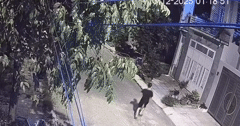 Phía sau clip ông bố ở Đồng Nai hốt hoảng cầu cứu hàng xóm lúc nửa đêm