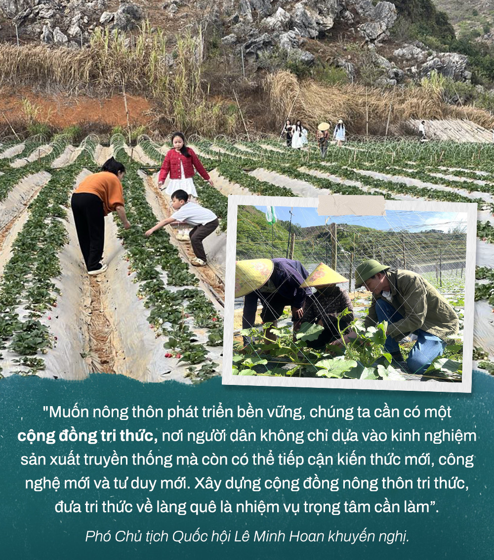 Q2 kinh te nong thon.jpg