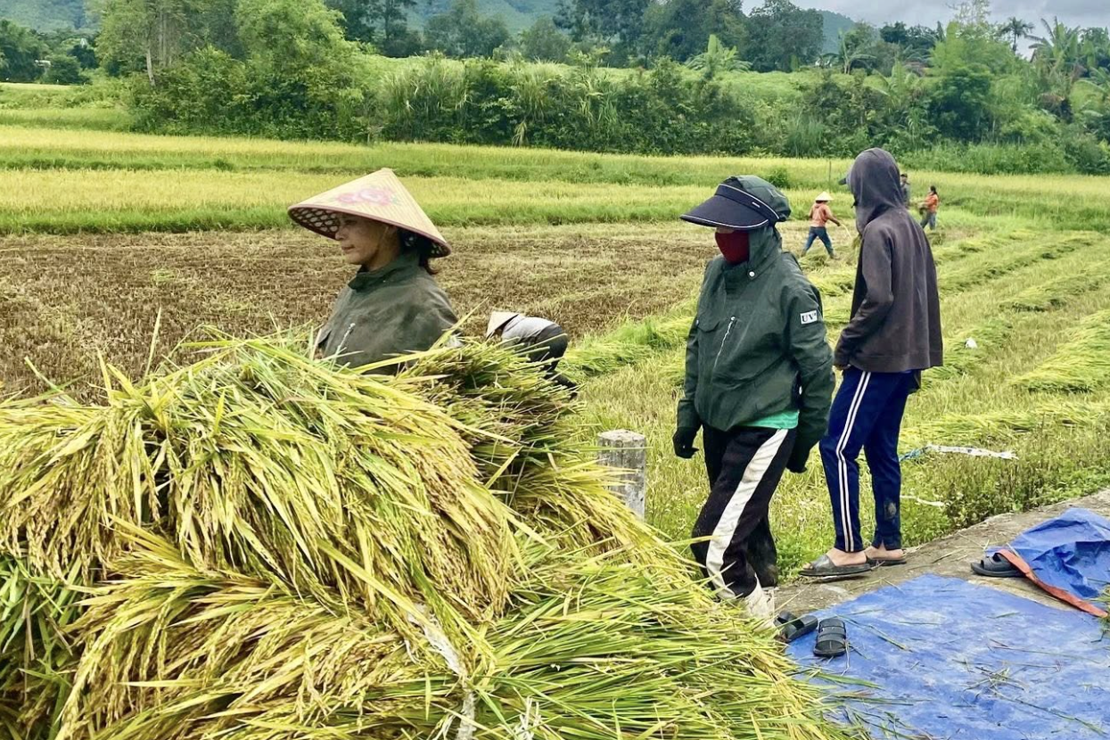 Tuyên Phú kiến tạo nông thôn mới bền vững, thích ứng biến đổi khí hậu