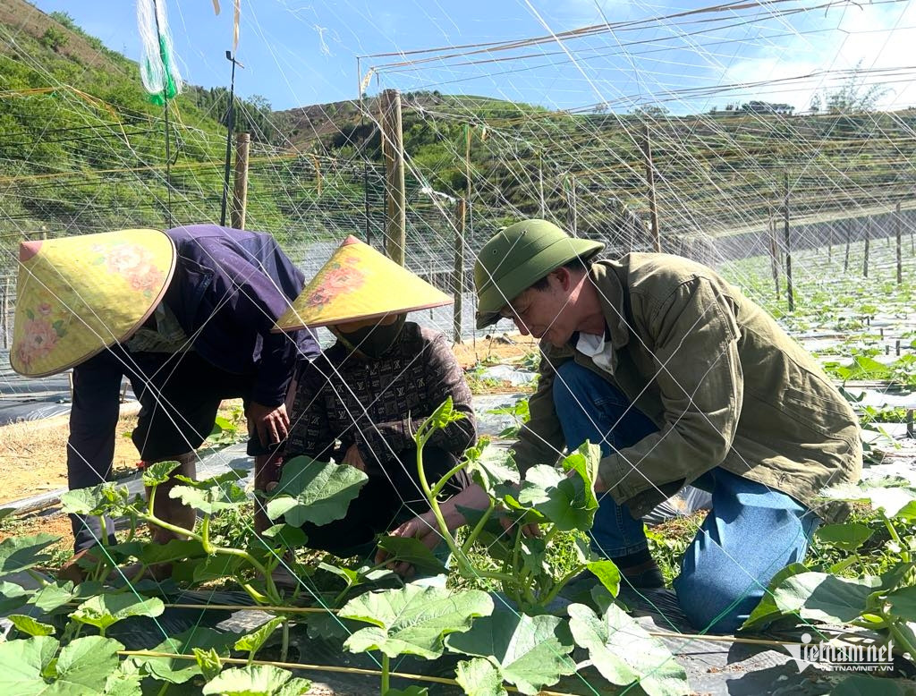 Box https://static-images.vnncdn.net/vps_images_publish/000001/000003/2025/12/25/w-anh-1-1580.jpg