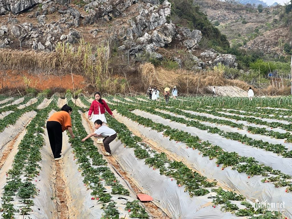 Box https://static-images.vnncdn.net/vps_images_publish/000001/000003/2025/12/25/w-anh-2-1581.jpg