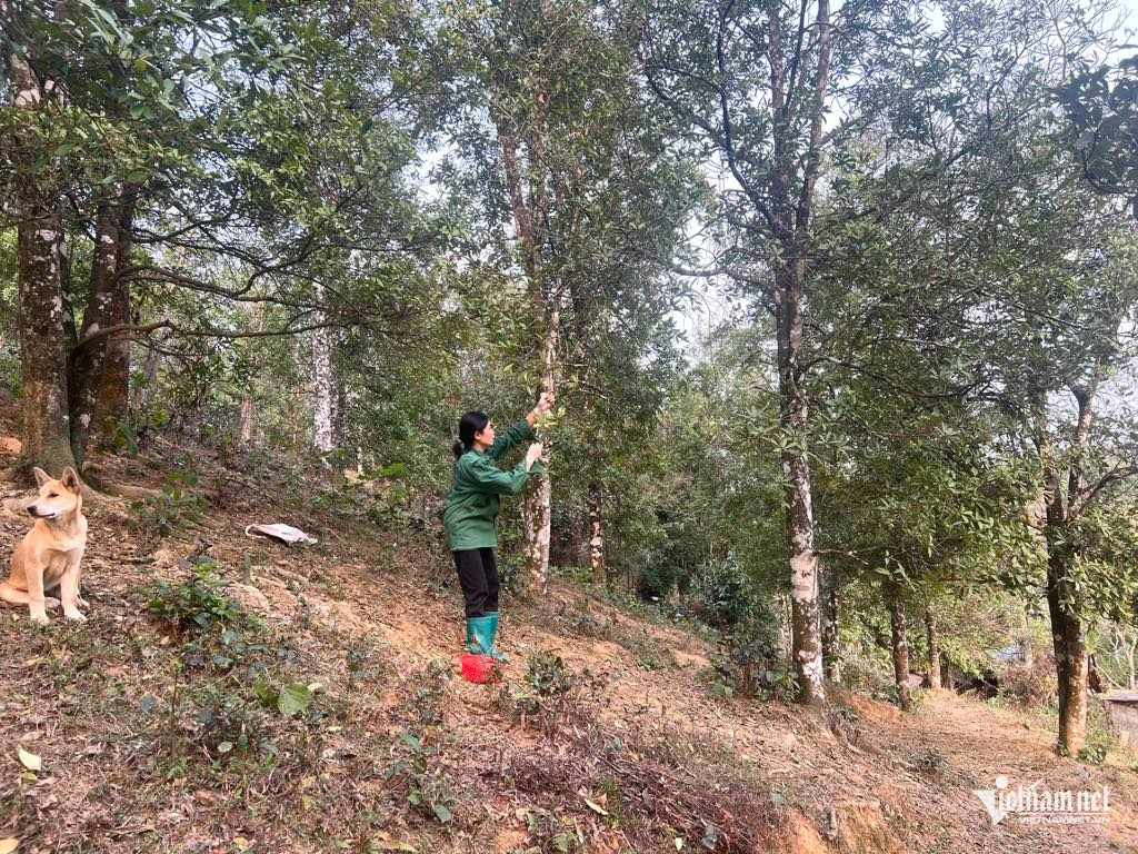 Box https://static-images.vnncdn.net/vps_images_publish/000001/000003/2025/12/25/w-anh-3-1582.jpg