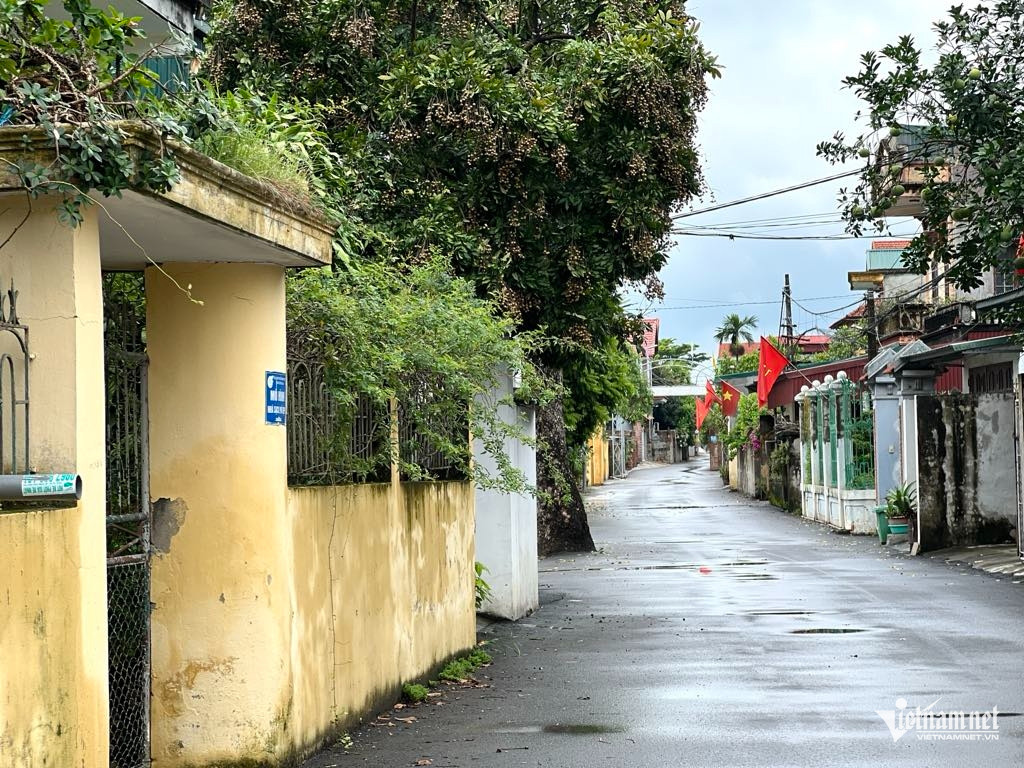 Box https://static-images.vnncdn.net/vps_images_publish/000001/000003/2025/12/25/w-anh-7-1518.jpg