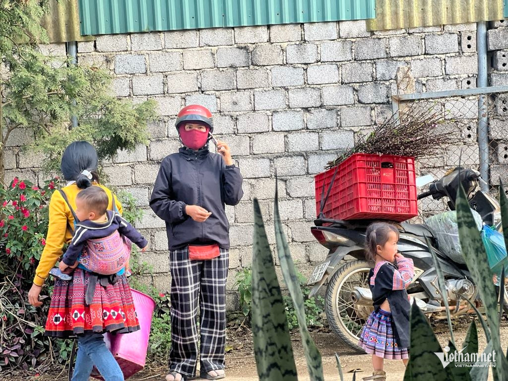 Box https://static-images.vnncdn.net/vps_images_publish/000001/000003/2025/12/25/w-anh-7-1529.jpg