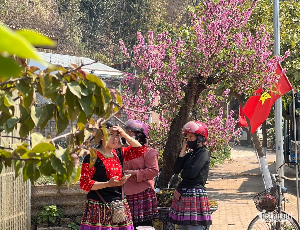 Box https://static-images.vnncdn.net/vps_images_publish/000001/000003/2025/12/25/w-anh-8-1535.jpg